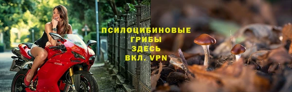 СК Балахна