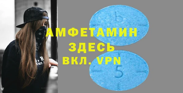 прущие грибы Коряжма