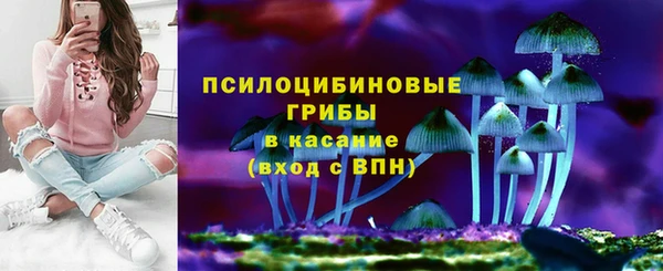 СК Балахна