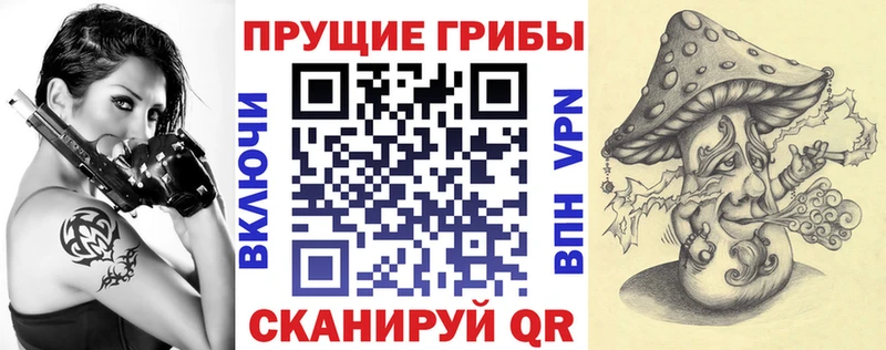Галлюциногенные грибы Cubensis  цены   Нерюнгри 